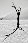 deadvlei I deadvlei I