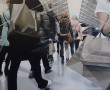 Hunters Gatherers 02 Kunstwerk Hunters Gatherers 02