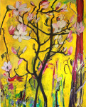 Magnolia Magnolia