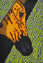 Peek A Boo Kunstwerk Peek A Boo
