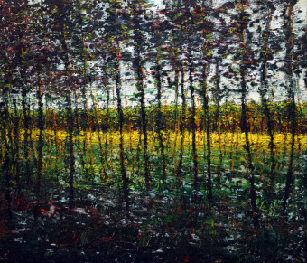 through the trees through the trees