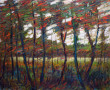 Ameland Kunstwerk Ameland