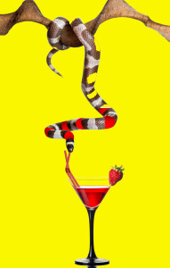 Party animals Party animals