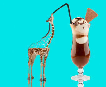 Partyanimals Partyanimals