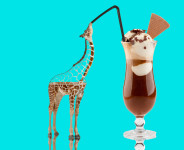 Partyanimals Partyanimals