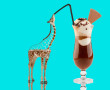 Partyanimals Kunstwerk Partyanimals