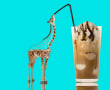Party animals Kunstwerk Party animals