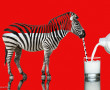 Party animals Kunstwerk Party animals