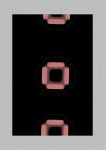 Cell Division Cell Division