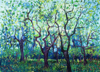 De Appelgaard De Appelgaard