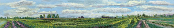 Zuiderweg gemaaid 2 Zuiderweg gemaaid 2