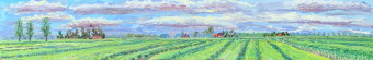 Zuiderweg gemaaid Zuiderweg gemaaid