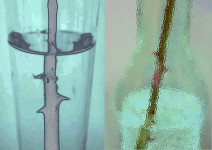 Blue blue transparency I Blue blue transparency I