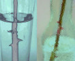Blue blue transparency I Kunstwerk Blue blue transparency I