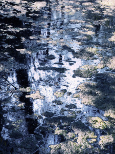 Spiegelingen II Spiegelingen II