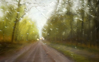 the sky is falling the sky is falling
