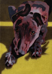 Payne's Grey Payne's Grey