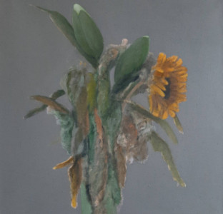 flowers 9 flowers 9