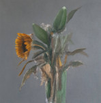 flowers 10 flowers 10