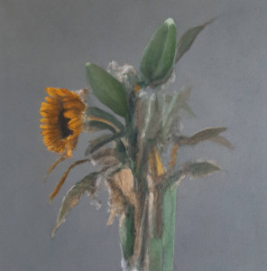 flowers 10 flowers 10