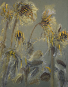 zonnebloemen zonnebloemen