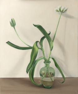 Tulp Tulp