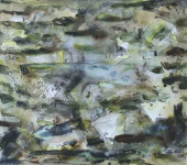 landschap 2 landschap 2