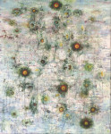 Carlina vulgaris I Carlina vulgaris I
