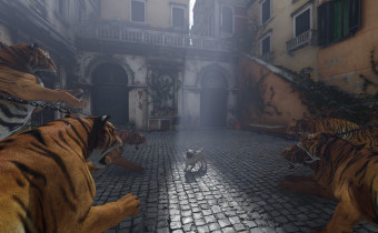 the Watchdog the Watchdog