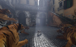 the Watchdog the Watchdog