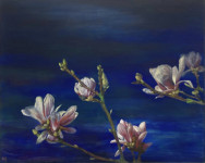 Magnoliatakken II Magnoliatakken II