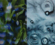 Rimpelingen VII Kunstwerk Rimpelingen VII