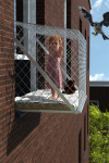 Fresh Air Fresh Air