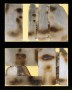 Faces Kunstwerk Faces