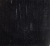 Dark woods Dark woods