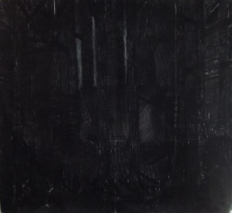 Dark woods Dark woods