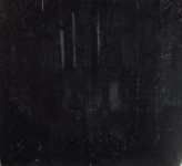 Dark woods Dark woods