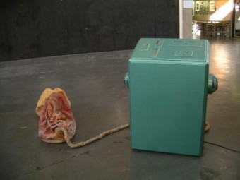Incubatiemachine Incubatiemachine