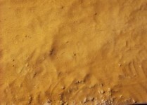 desert 1-3 desert 1-3
