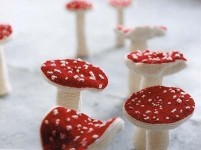 paddestoelen paddestoelen