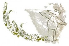 fly-bird fly-bird