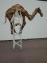 lastdier Kunstwerk lastdier