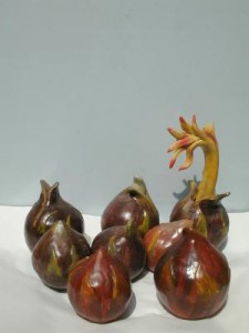 de bollen de bollen