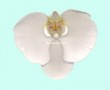orchid Kunstwerk orchid