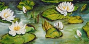 WITTE WATERLELIES WITTE WATERLELIES