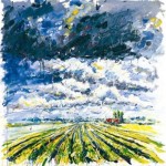 landschap landschap
