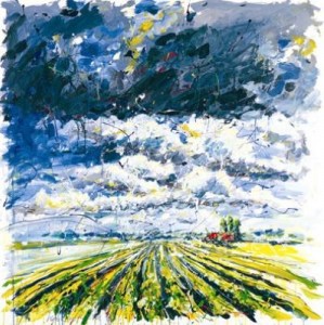 landschap landschap