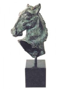 Paard - Pitou Paard - Pitou