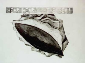 Hear Hear........The Sea! schelp nr 21 Hear Hear........The Sea! schelp nr 21
