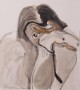 Studie van Karin Kunstwerk Studie van Karin